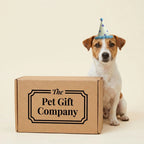 The Barkley Birthday Box (Small Dogs)