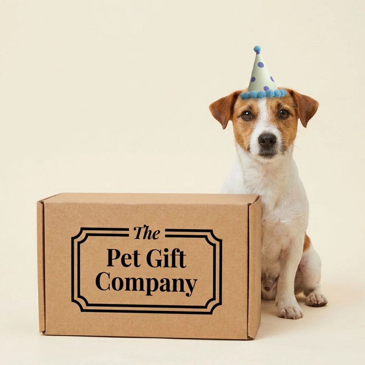 The Barkley Birthday Box (Small Dogs)