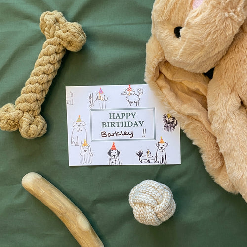 The Barkley Birthday Box (Small Dogs)