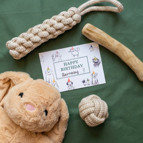 The Barnaby Birthday Box (Medium Dogs)