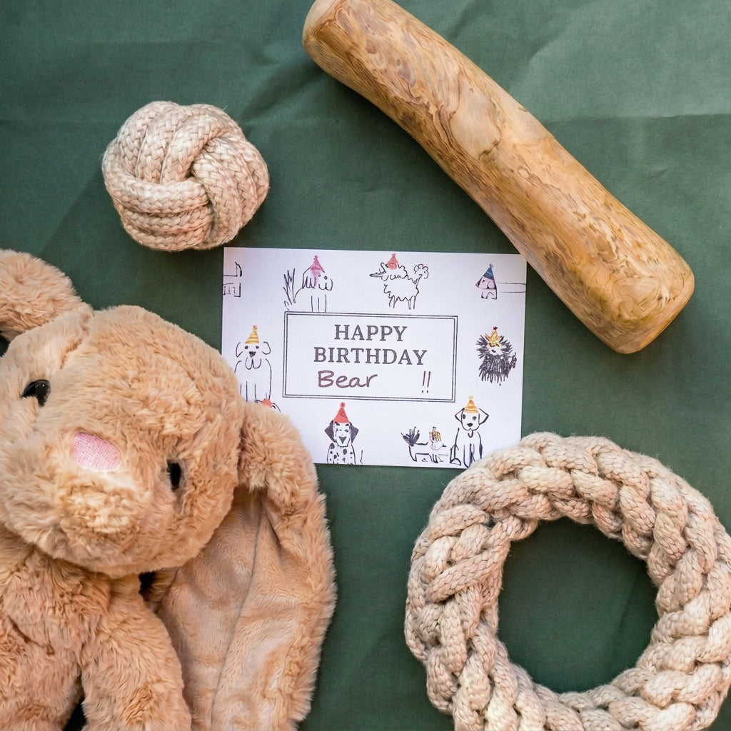 The Bear Birthday Box (Large/XL Dog)