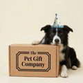 The Barnaby Birthday Box (Medium Dogs)